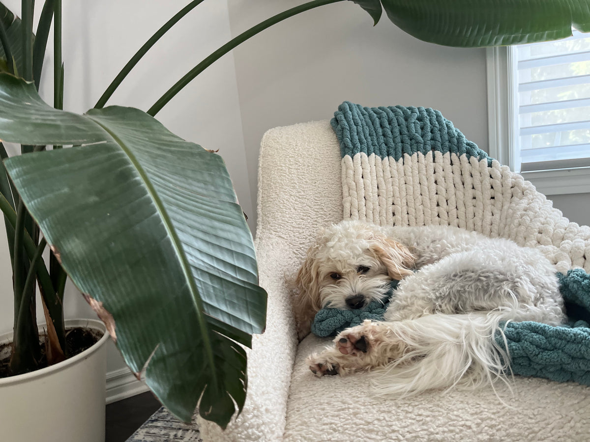 Two colour striped blanket